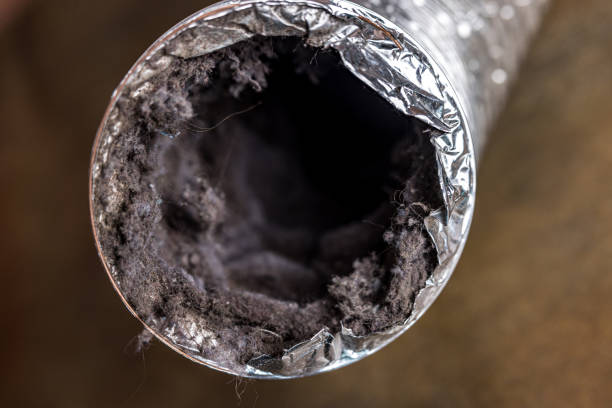 Best Affordable Duct Cleaning Services  in Anna, TX