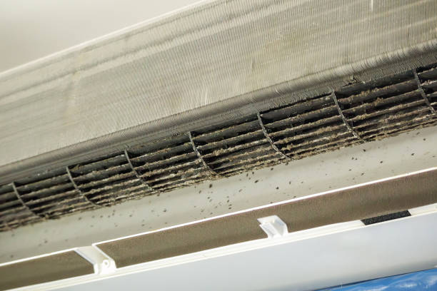 Best Duct Cleaning for Homes  in Anna, TX